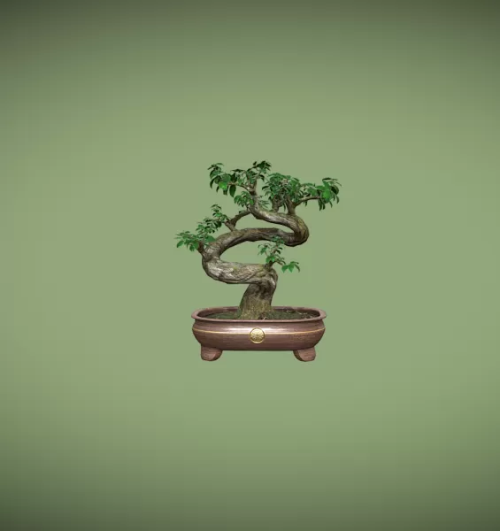 Ficus Bonsai - Model preview 1