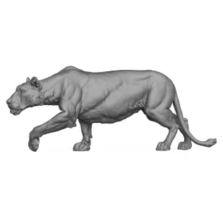 3D Printable Wild Lioness - Model thumbnail 3