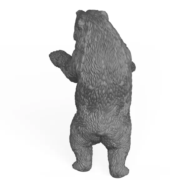 Wild Bear - Model preview 4