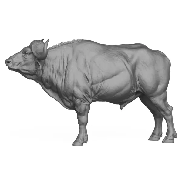 3D Printable Wild Buffalo - Model preview 3