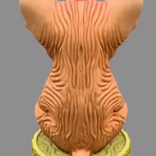 Beautifully sculpted Sphynx cat holding a heart - Model thumbnail 4