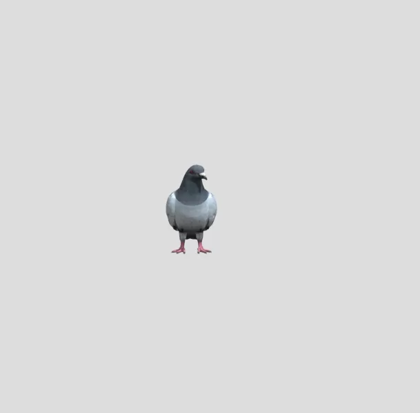 pigeon - Model preview 2