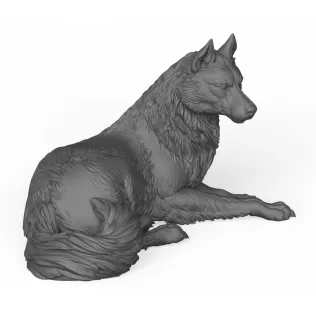 Wild Wolf