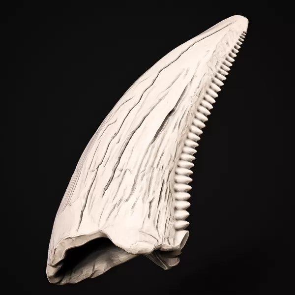 T-Rex Tooth #RoZ - Model preview 1