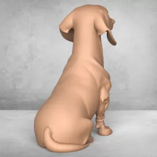 Dachshund Dog