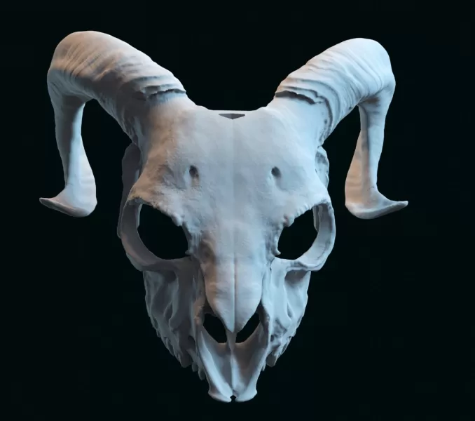 goat skull mask adapted to fit a human face - Model preview 1