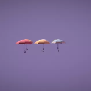 Umbrella Diffrent Styles