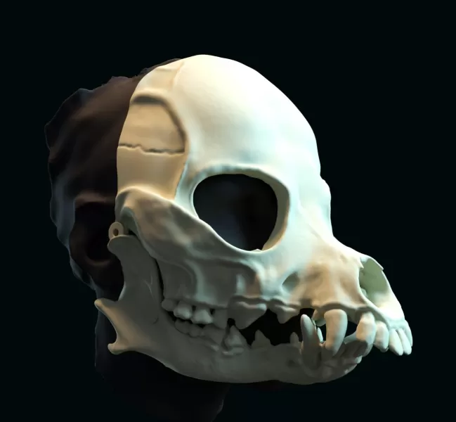 Druid skull mask - Model preview 3