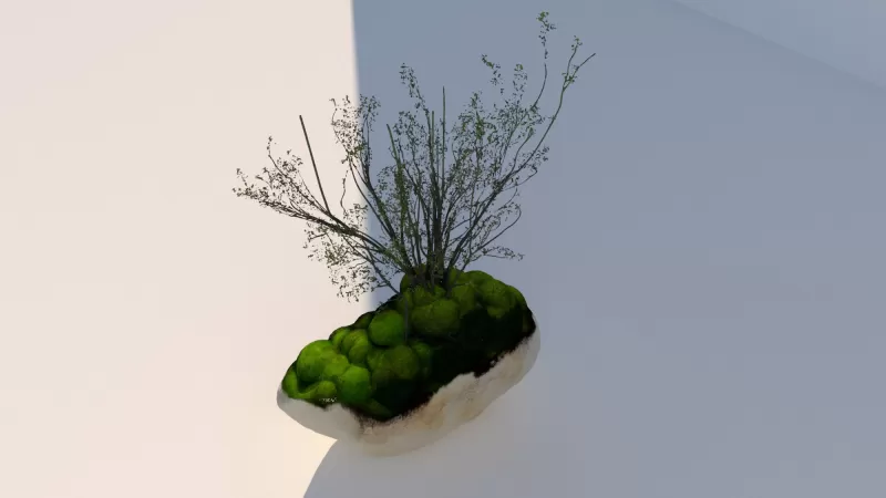 Mossy_Rock_Garden - Model preview 3