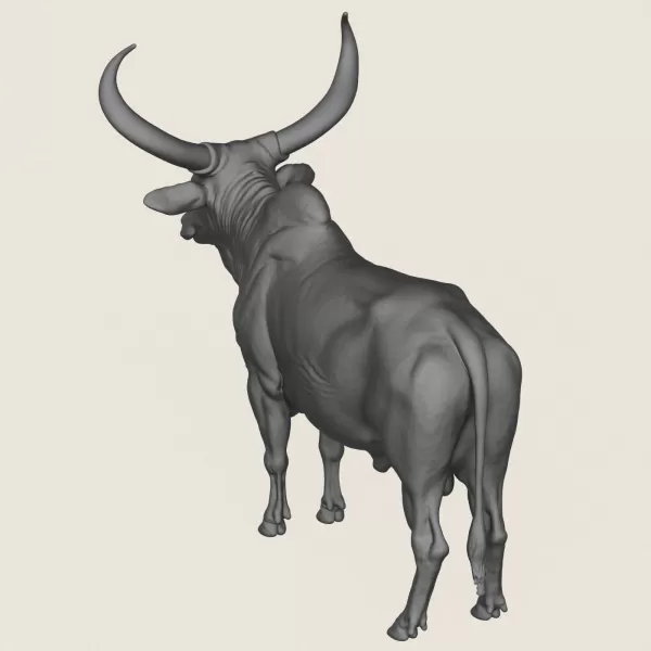 Indian Bull Print Ready 3D Model - Model preview 5
