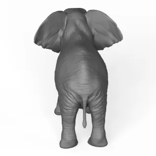 Elephant - Model thumbnail 4