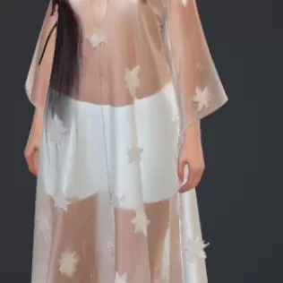 Frau im durchsichtigen kleid - Model thumbnail 1