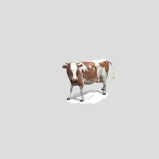 Cow
