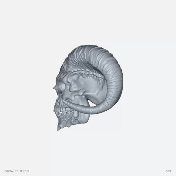 Horned Demon Skull Display - STL - Model preview 3