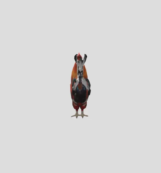 Majestic Rooster - Model preview 3