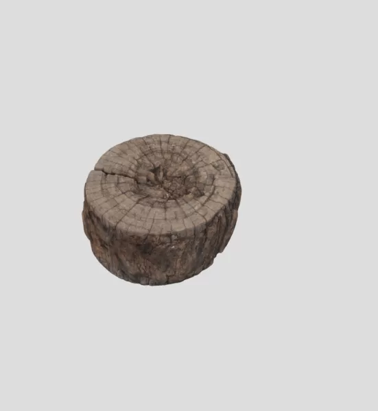 Sitting Wood Top - Model preview 2