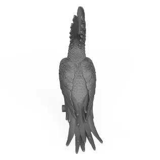 Cacadu Parrot Bird - Model thumbnail 4