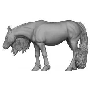 3D Printable Young Horse - Model thumbnail 3