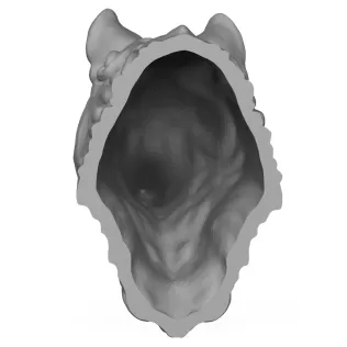Wild Wolf Head Statue