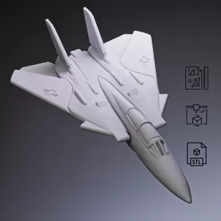 F-14 Fighter Jet #RoZ - Model thumbnail 3