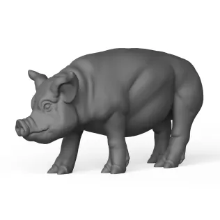 Pig