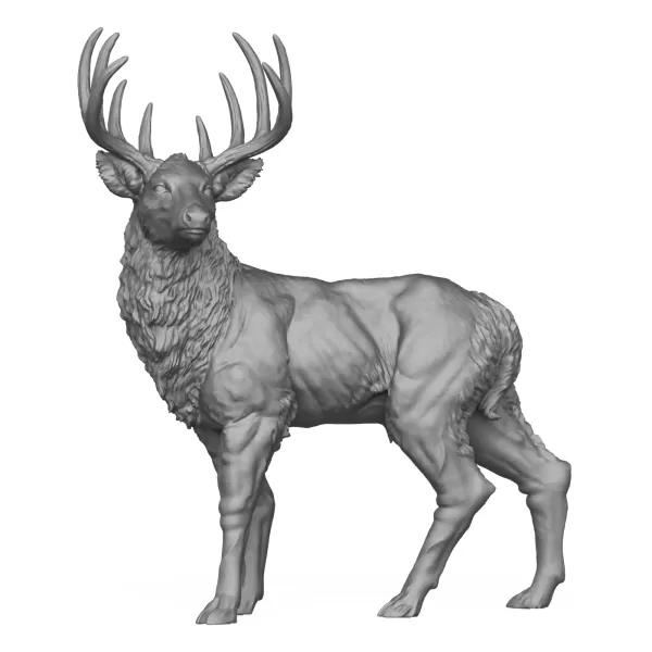 Wild Elk Deer 3D Print Model - Model preview 1