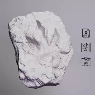 Dinosaur Track Fossil Rock #RoZ - Model thumbnail 4