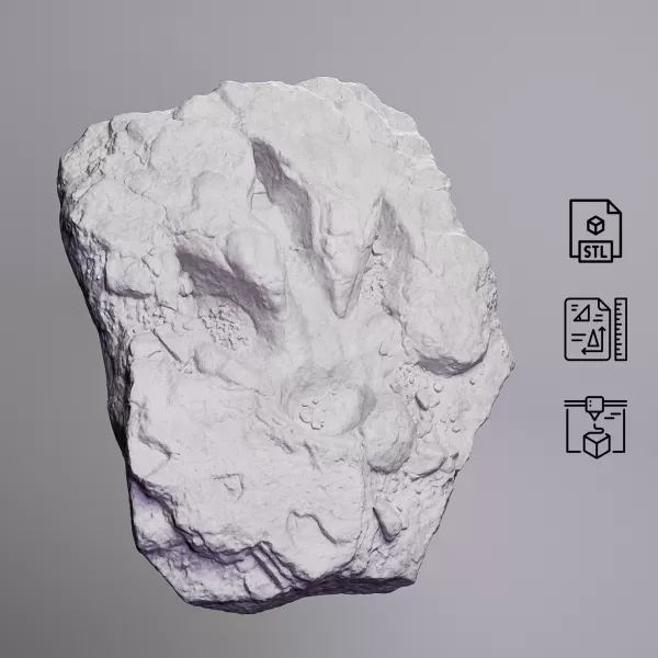 Dinosaur Track Fossil Rock #RoZ - Model preview 4