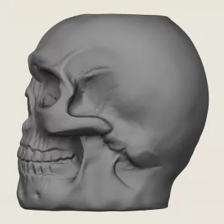 Skull Plant Pot - Model thumbnail 4