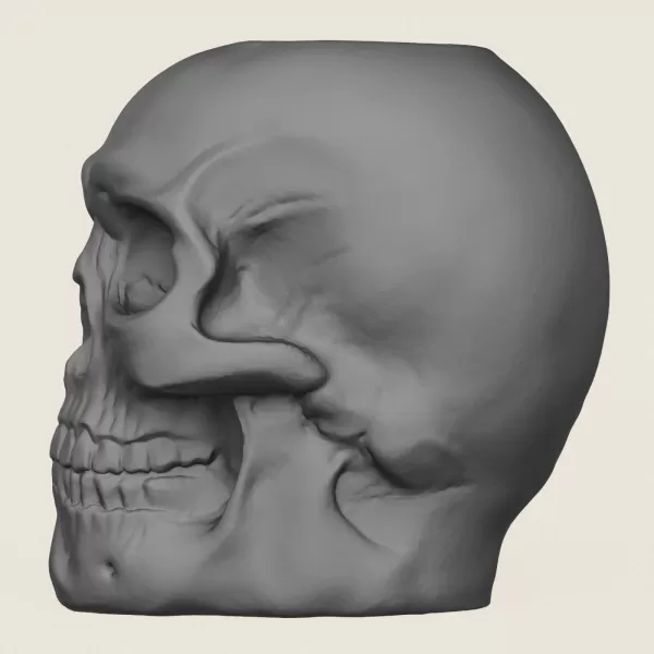 Skull Plant Pot - Model preview 4