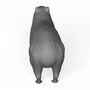 Capybara - Model thumbnail 4
