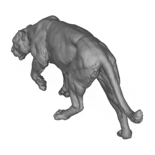 Jaguar Walking 3D Print Model