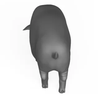 3D Printable Pig Eating Pose - Model thumbnail 4