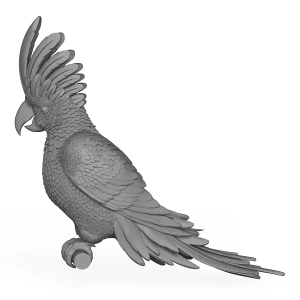 Cacadu Parrot Bird - Model preview 3
