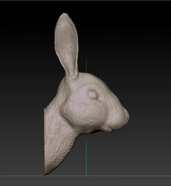 Rabbit Bust - Model preview 4