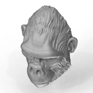 3D Printable Gorilla Face - Model thumbnail 3