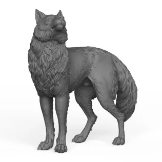 Wild Wolf