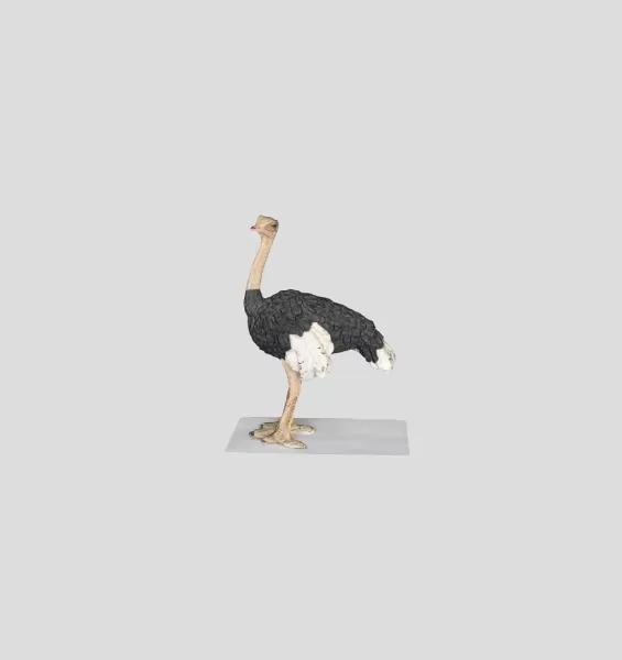 Straus - Model preview 2