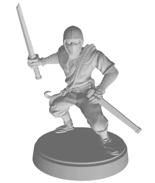 Ninja - Model preview 1