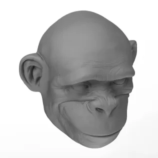 3D Printable Chimpanzee Face