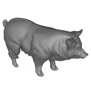 3D Printable Pig Hog Pet Animal - Model thumbnail 5