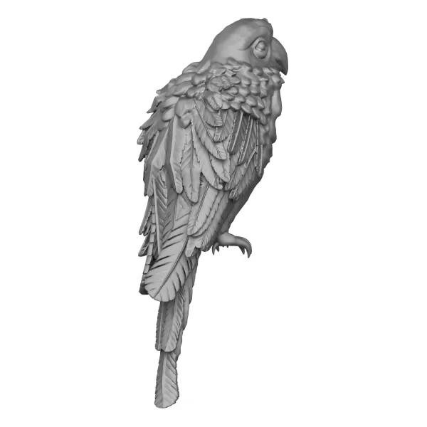 Parrot Bird - Model preview 6