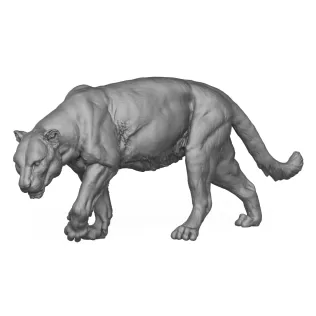 Jaguar Walking 3D Print Model