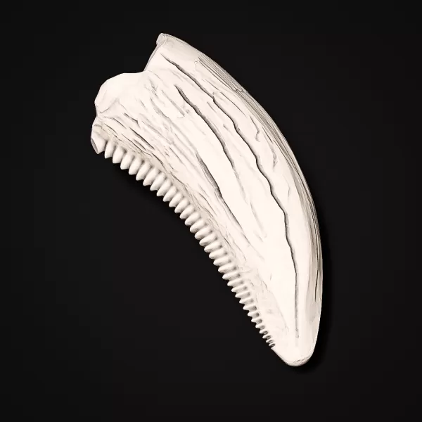 T-Rex Tooth #RoZ - Model preview 8
