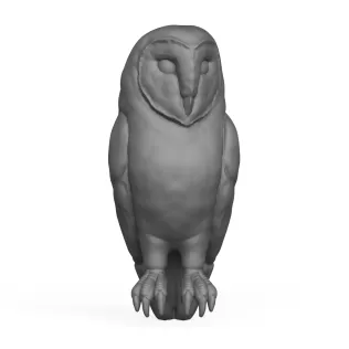 Owl Bird - Model thumbnail 2