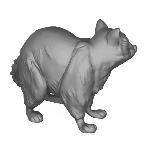 Racoon - Model preview 4