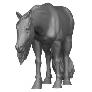 3D Printable Young Horse - Model thumbnail 2