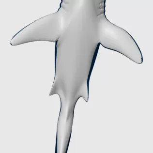 Tiger Shark, Keychain - Model thumbnail 2