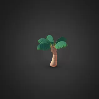 Palm Tree