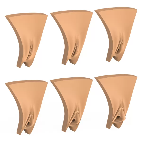 3D Print Ready Vagina Stage Collection - Model preview 8